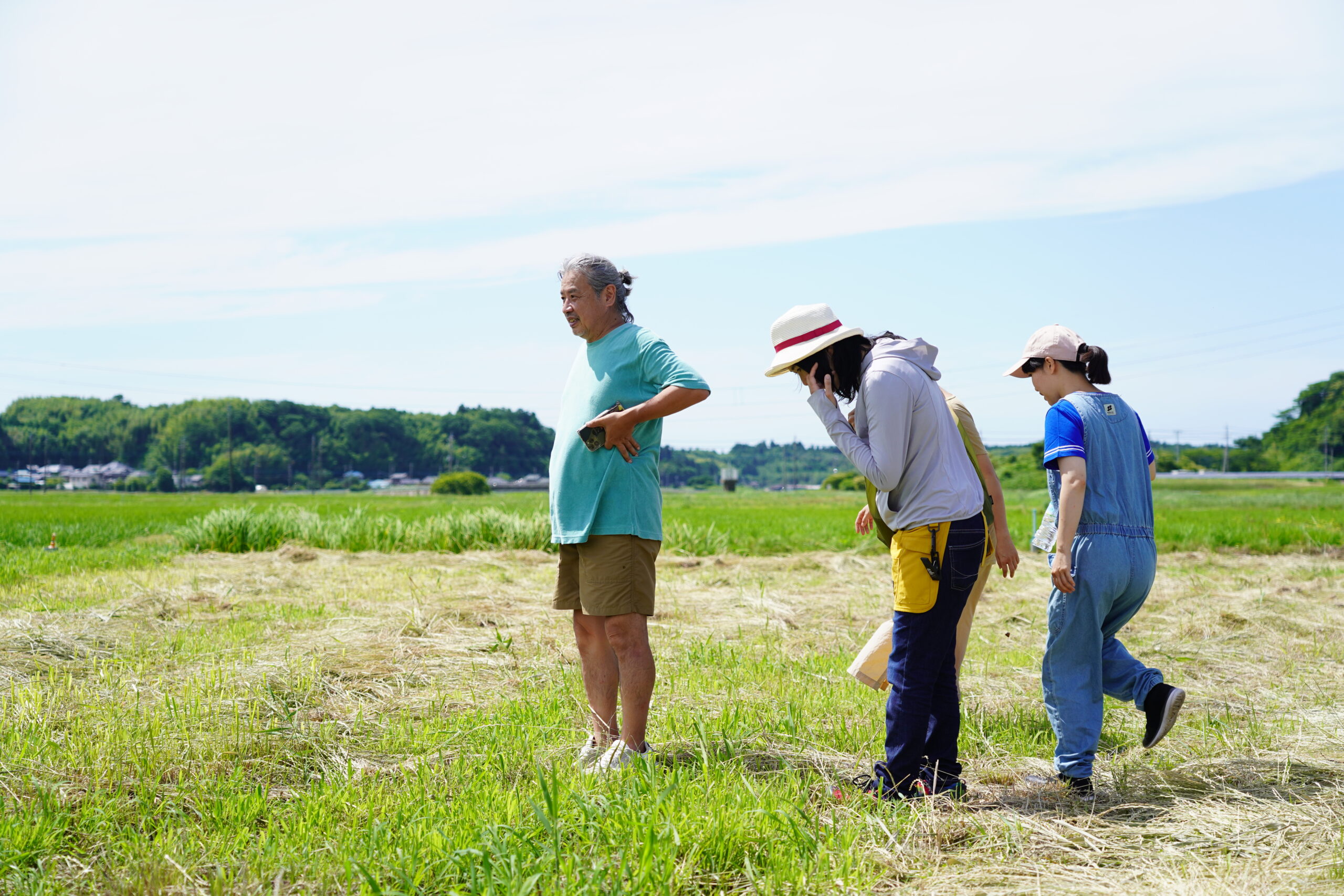 千葉県芝山町で2024年9月より、田んぼの自然栽培農学校を始めます。