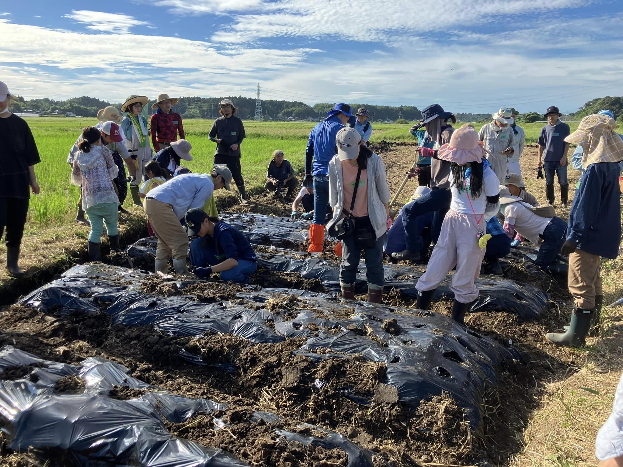 田んぼの農学校2024年10月14日参加予定の皆さまへ