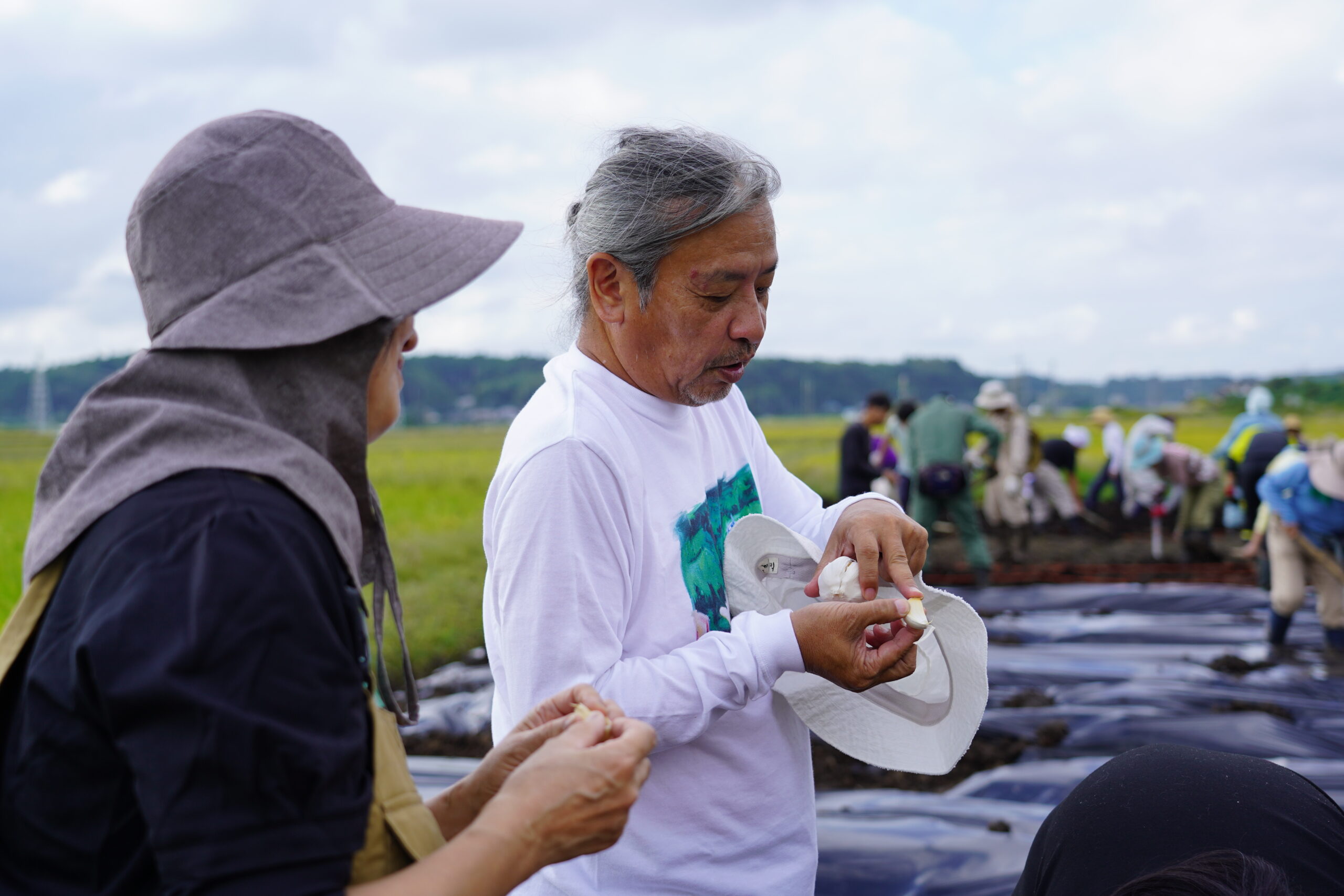 芝山田んぼのワークショップの様子（10月）