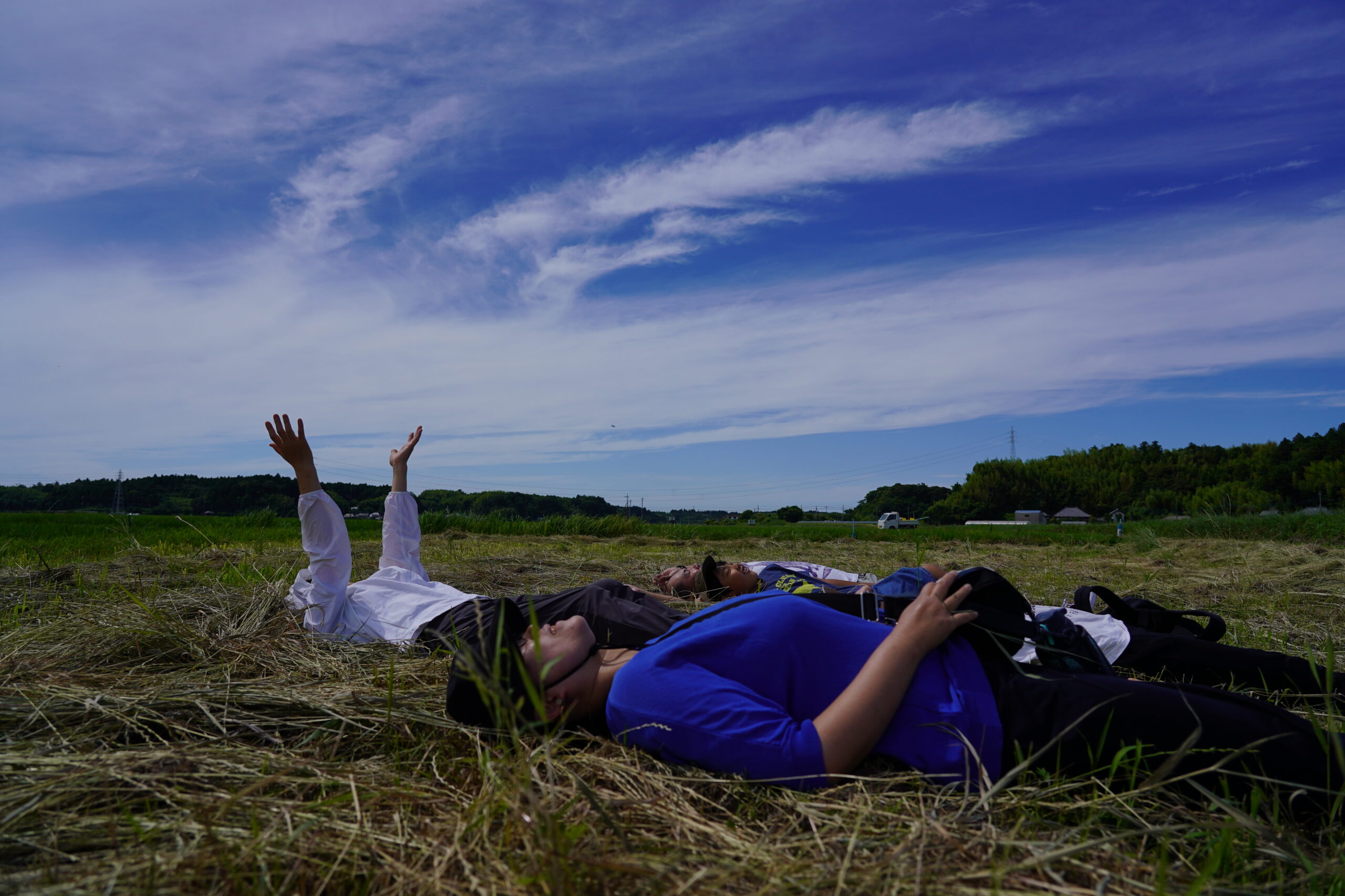 田んぼの自然栽培農学校の募集開始しました。（2024年9月、10月開催分）