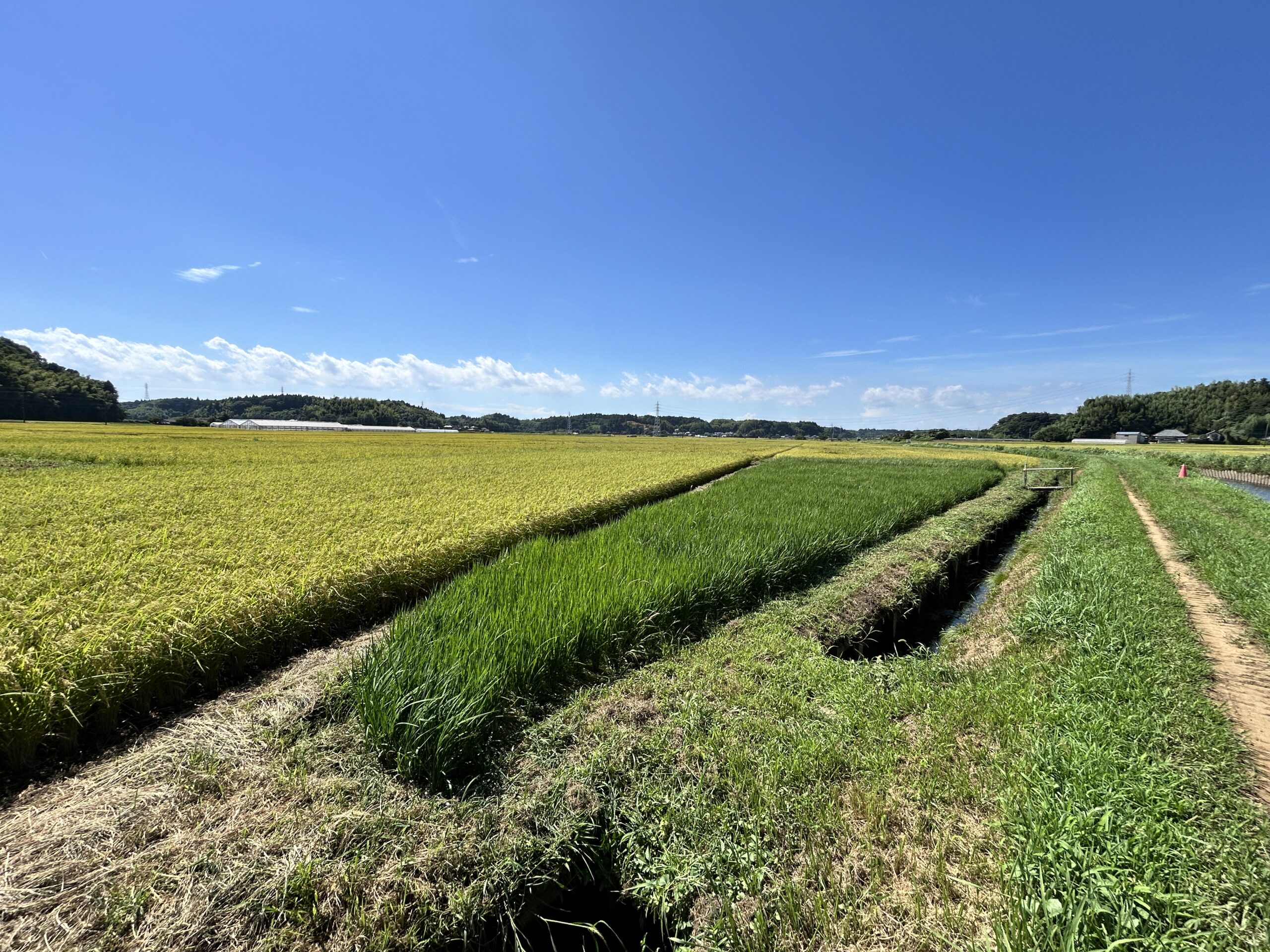 個人事業から法人化へ